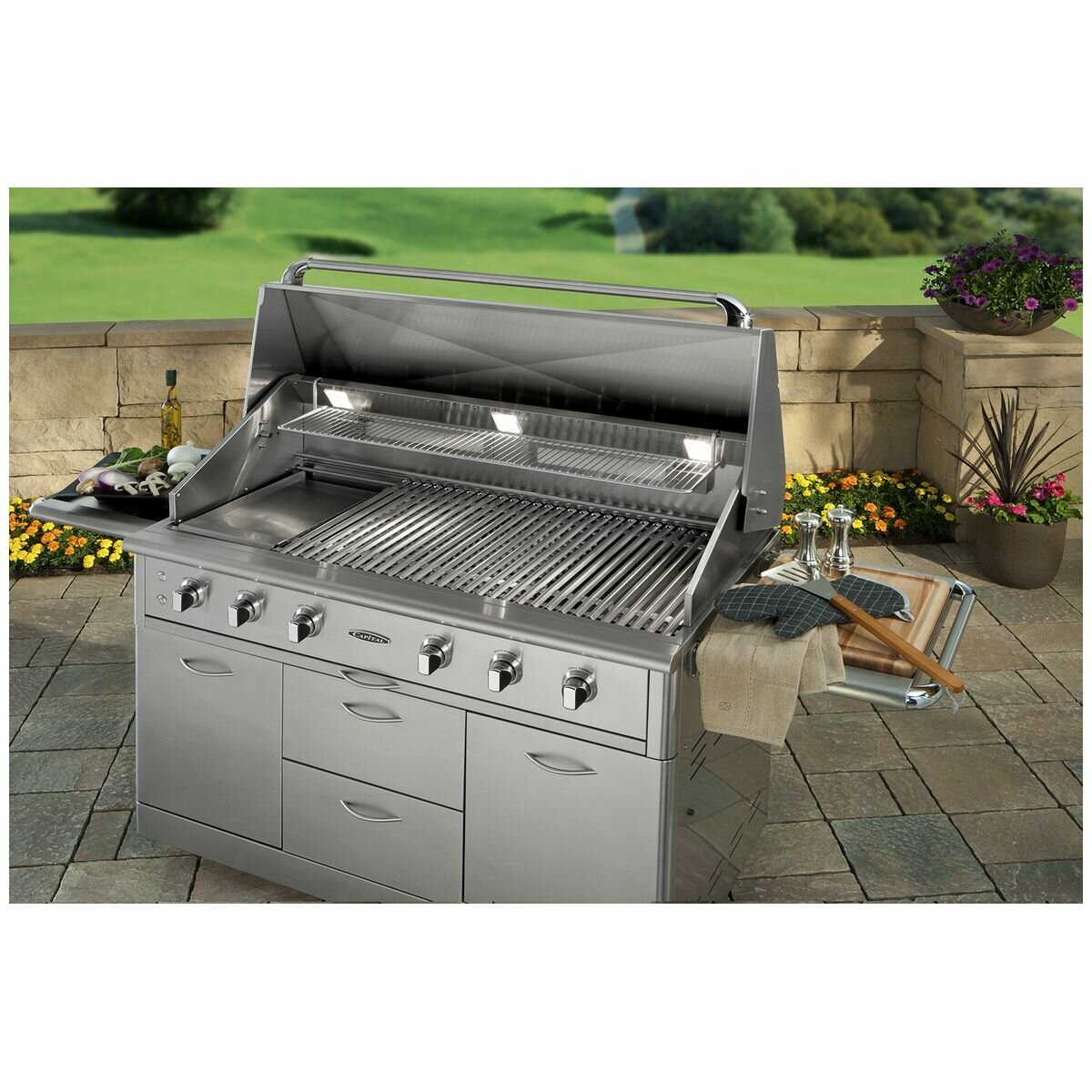 Gas bbq cheap with flat plate