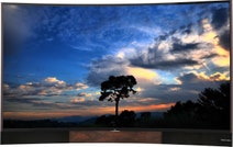 TCL U55H8800CDS 55 Inch 139cm Curved 4K Ultra HD Android 3D LED LCD TV hero image