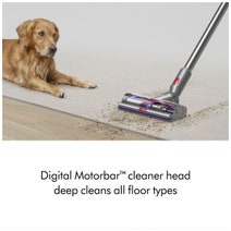 Dyson V15 Detect Absolute Cordless Vacuum Cleaner 447955-01 hero image