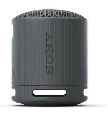 Sony XB100 Portable Wireless Speaker Black SRSXB100B