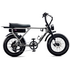 Flight Risk FR505 E-Bike Silver FR-505SILVER image NaN