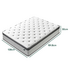 Zinus 30cm Double Support Plus Pocket Spring Mattress AU-MSSPGR-12D image NaN