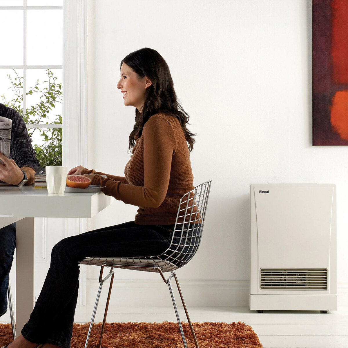 Rinnai EnergySaver Flued Natural Gas Heater K309FTSN hero image