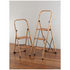 L.T. Williams 2 Step Ladder  Wood Grain With Bar 9757 image NaN