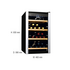 Vintec 35 Bottle Wine Storage Cabinet AL-V30SGE image NaN