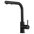 Rogerseller Tonic Square Sink Mixer with Pull Out Spray - Matte Black 3606013911 image NaN