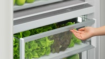 Fisher & Paykel Series 11 463L Integrated Column Fridge with Water Left Hinge RS7621SLHK1 hero image