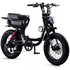 Flight Risk FR333 E-Bike Black FR-333BLACK image NaN