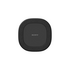 Sony BRAVIA Theatre Wireless Rear 8 Speakers  SARS8 image NaN