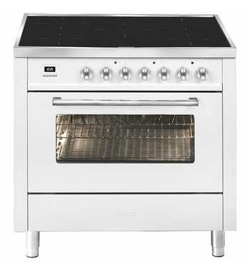Induction online freestanding oven