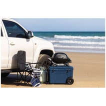 Weber Baby Q1000N Portable LPG BBQ Black 27111024 hero image