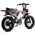 Flight Risk FR555 E-Bike Champagne FR-555CHAMPAGNE image NaN