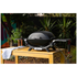 Weber Q2000N Portable LPG BBQ Black 28310024 image NaN