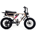 Flight Risk FR555 E-Bike Champagne ATV08XSCH hero image