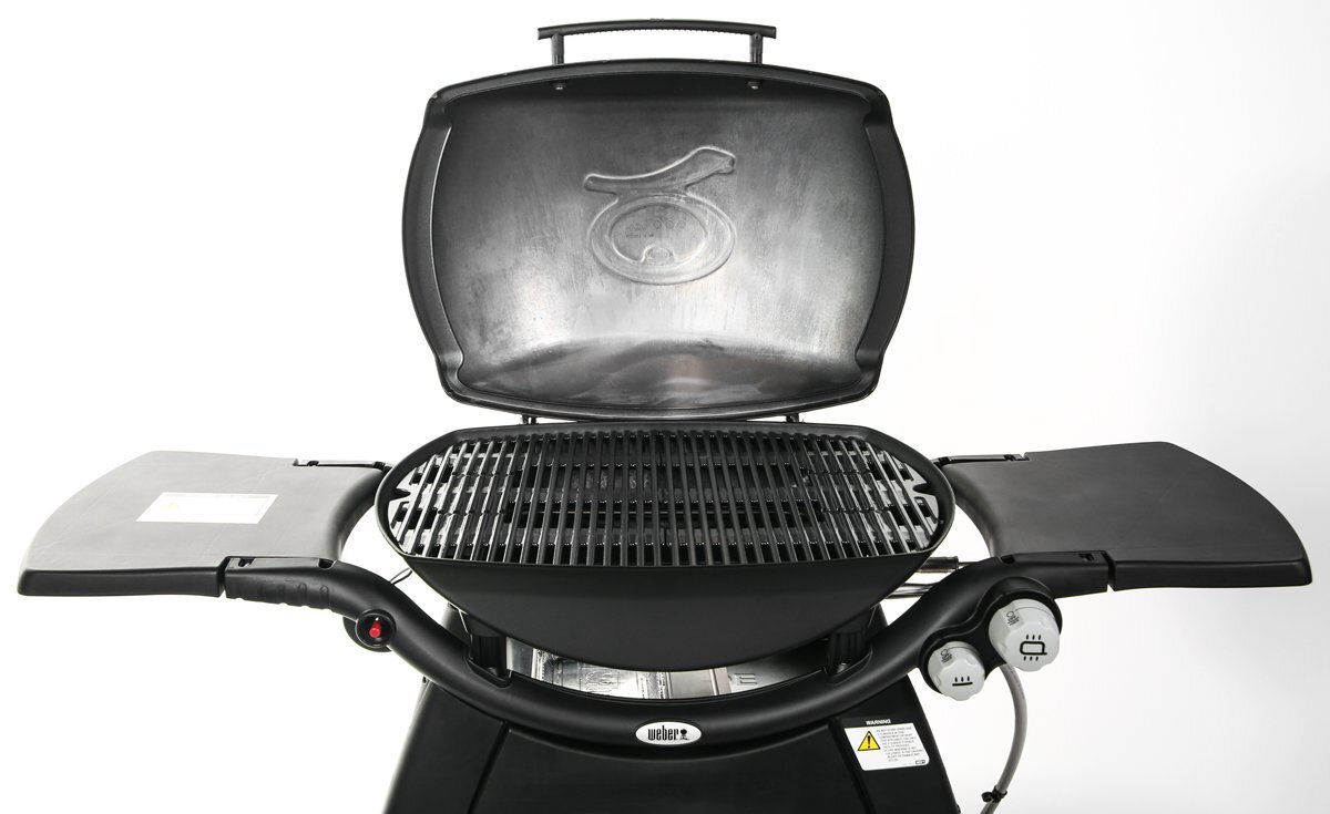 Weber family q3100 store