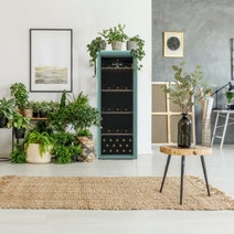 Linarie Loire 106 Bottle Single Zone Retro Wine Fridge LICV106GREEN hero image