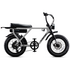 Flight Risk FR505 E-Bike Silver FR-505SILVER image NaN