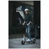 Segway-Ninebot G30L KickScooter 4971375 image NaN