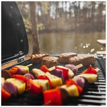 Weber Traveler Compact Portable BBQ LPG 1500525 hero image