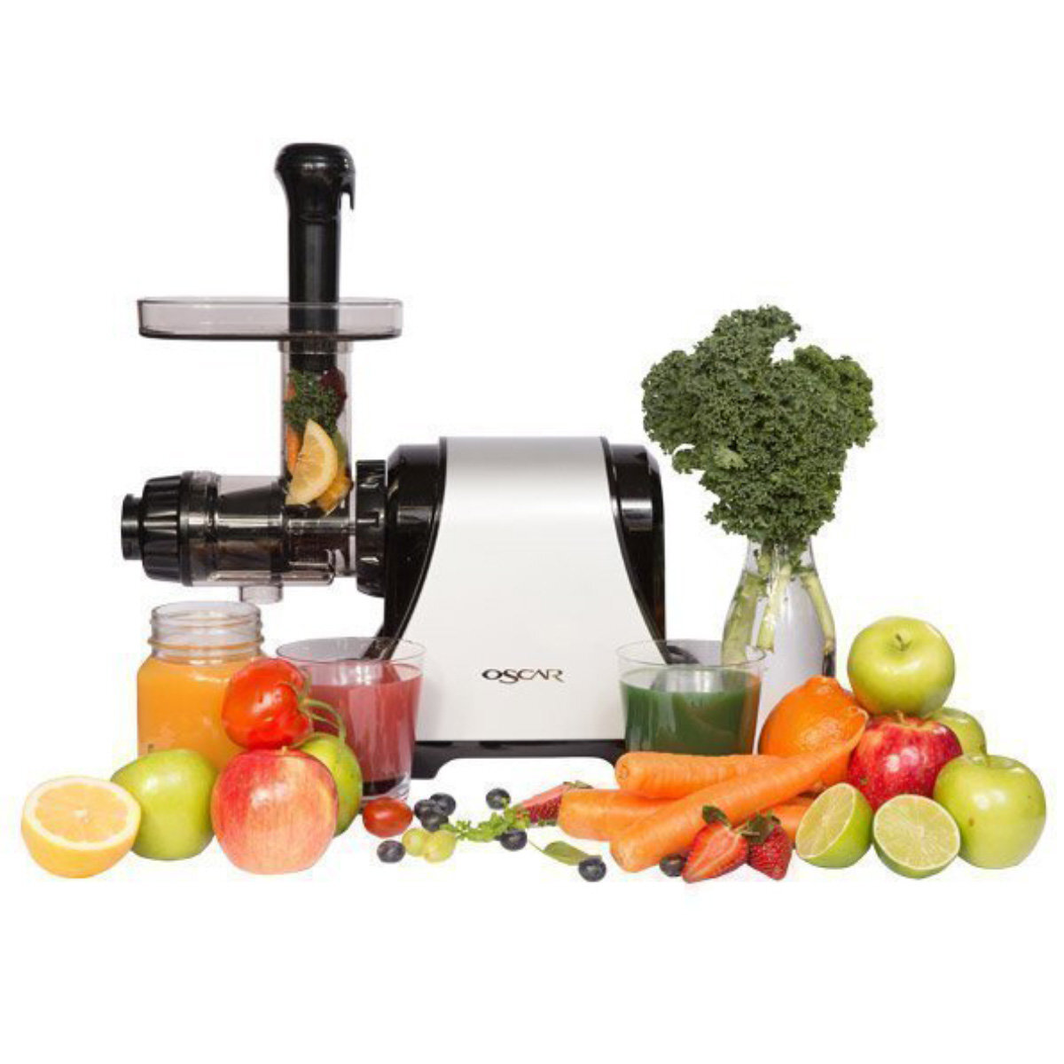 Oscar neo xl shop whole slow juicer