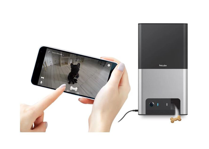 Petcube Bites 2 Interactive Wi-Fi Pet Camera and Treat Dispenser 7264 hero image