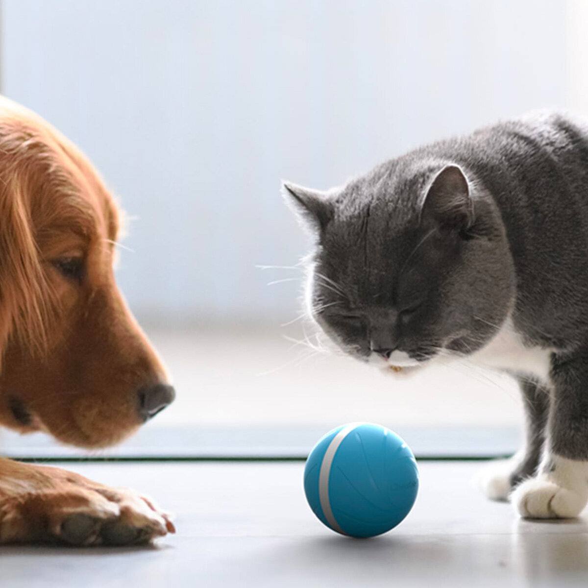 Cheerble Wicked Ball Blue 5391 Appliances Online