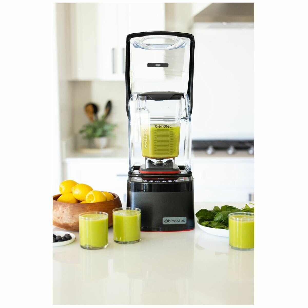 Blendtec Professional 800 Blender with BPA-Free WildSide+ Jar Black P800D3501 hero image