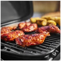 Weber Traveler Compact Portable BBQ LPG 1500525 hero image