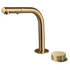 Rogerseller Eccentric Hob Sink Mixer and Outlet with Pull Out Spray - Brushed Gold 360600405214 image NaN
