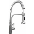 Franke TA9101 Professional Pull Out Tap