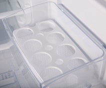 Westinghouse 230L Top Mount Fridge WTB2300WG hero image