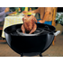 Weber 6731 Poultry Infusion Roaster image NaN