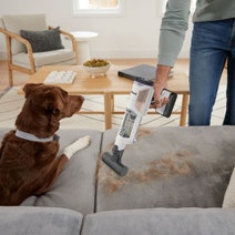 Shark Cordless Detect Pro IW1611 hero image