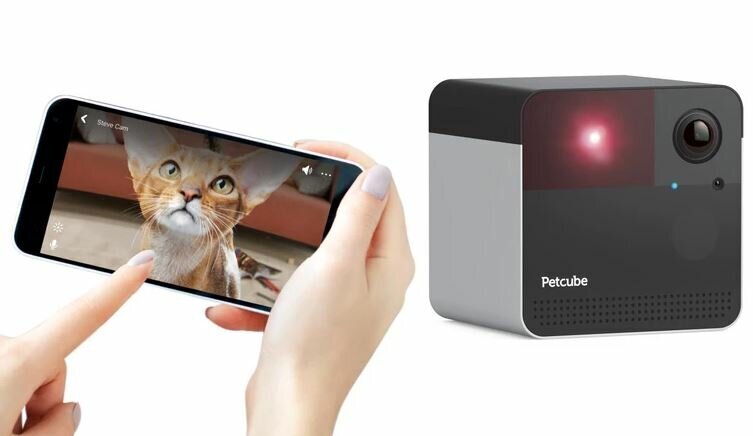 Petcube Play 2 Interactive Wi Fi Pet Camera 7271 Appliances Online