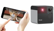 Petcube Play 2 Interactive Wi-Fi Pet Camera 7271 hero image