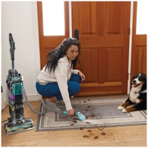 Shark CarpetXpert HairPro Pet Upright Cleaner with StainStriker EX300 hero image
