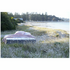 Sherman Just Perfect Queen Size Mattress P84027Q image NaN