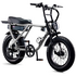 Flight Risk FR505 E-Bike Silver FR-505SILVER image NaN