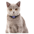 Petble SmartTag Pet Health Tracker Violet - 20552 image NaN