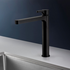 Rogerseller Arq Sink Mixer - Matte Black 36060036211 image NaN
