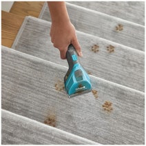Shark CarpetXpert HairPro Pet Upright Cleaner with StainStriker EX300 hero image