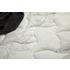 Sealy Posturepedic Summer Flex Plush Double Mattress - 735579 image NaN