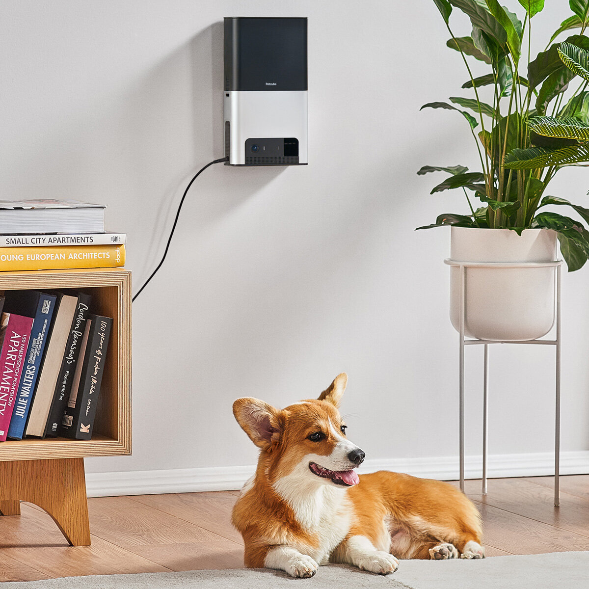 Petcube Bites 2 Interactive Wi-Fi Pet Camera and Treat Dispenser 7264 hero image