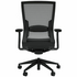 OLG Balance Project Chair with Lumbar and Black Nylon Base OG_BALMNL_BF image NaN