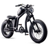 Flight Risk FR666 E-Bike Black FR-666BLACK image NaN