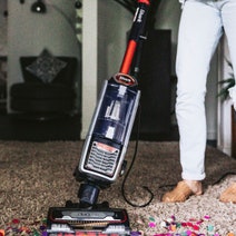 Shark Corded Upright Vacuum with Self Cleaning Brushroll NZ801 hero image