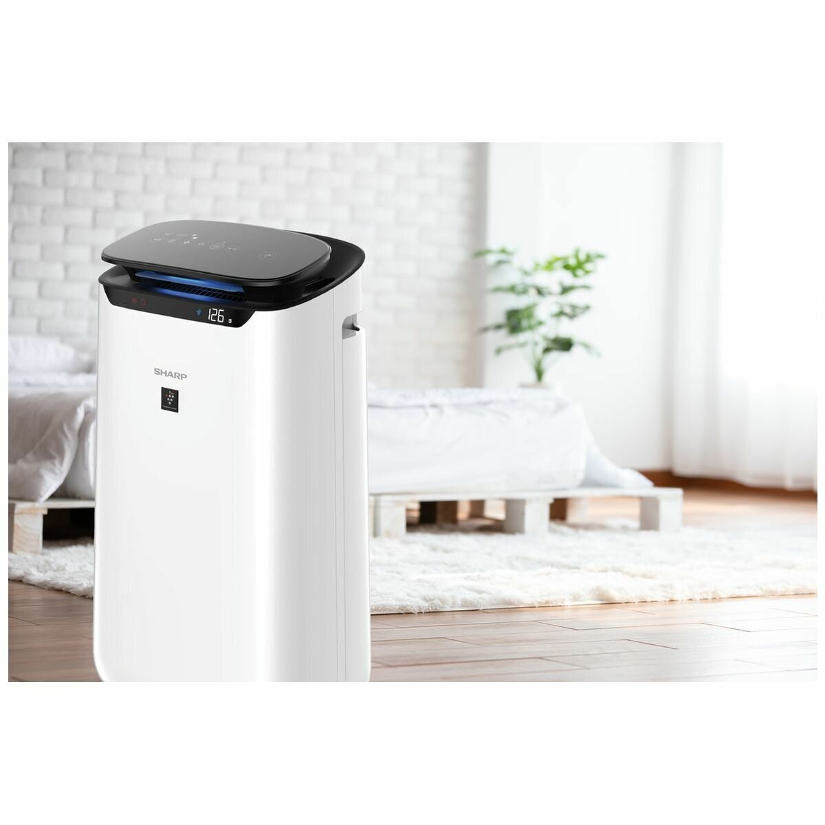 Sharp FX J80 W Plasmacluster Air Purifier FX J80 W Appliances Online