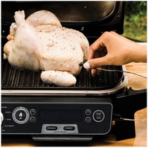 Ninja Woodfire Outdoor Electric BBQ Grill and Smoker OG751 hero image