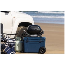 Weber Baby Q1000N Portable LPG BBQ Black 27111024 hero image