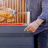 EVERDURE FUSION Charcoal BBQ with Rostisserie Black HBCE1BSB image NaN
